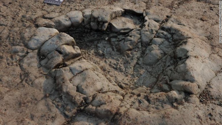 200 Milyon Yıl Öncesinin Dinozoruna Ait Olduğu Düşünülen Ayak İzi Bulundu!
