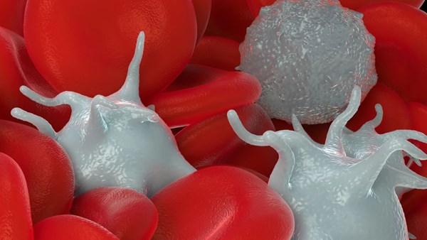 Depresyona genetik yatkınlık ile inflamasyon arasında bağlantı olabilir