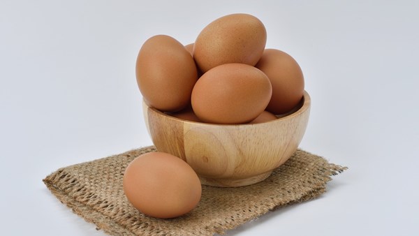 Mantardan üretilen bir protein, yumurta beyazına çevre dostu alternatif sunacak