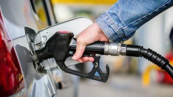 Mazota dev bir zam daha!