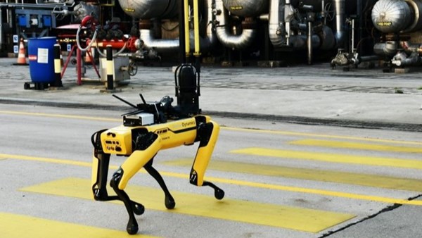 Robot köpek spot Tüpraş’ta işe başladı