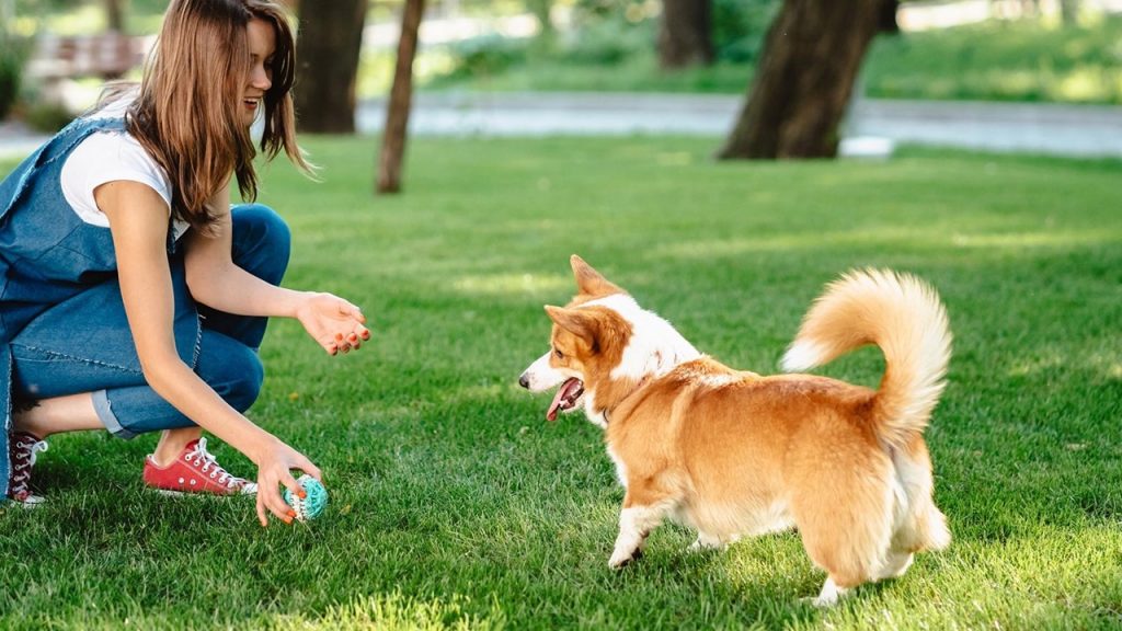 Uzmanlar uyardı: Evcil hayvan dışkısı doğaya zarar veriyor