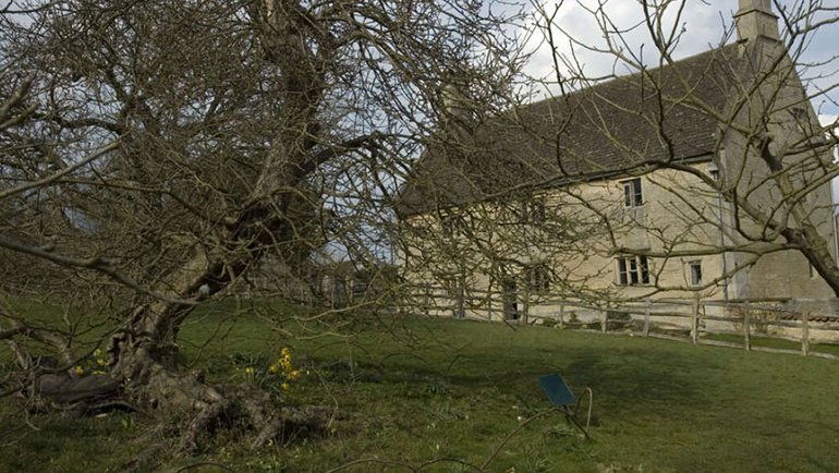 Dünya’nın En Ünlü Ağacının, Eunice Kasırgasında Yıkıldığı Bildirildi!