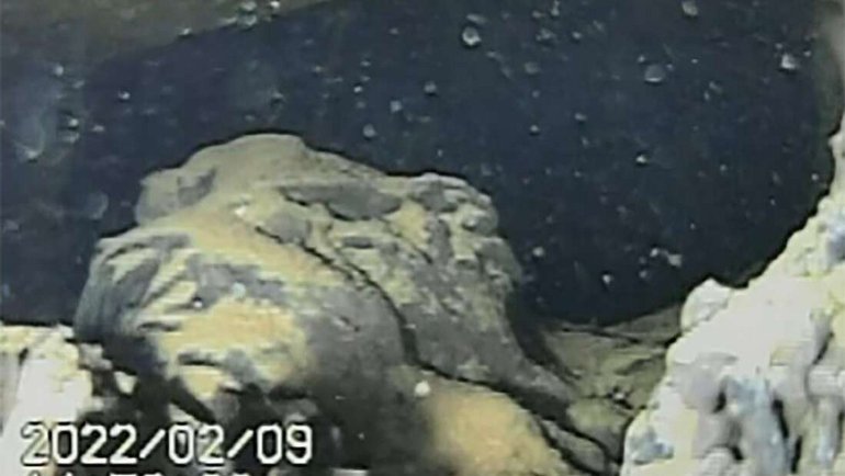 Fukushima Santralinin Ürpertici Yeni Görüntülerini Yayınlandı