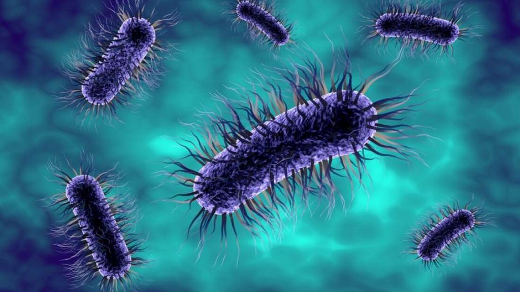 Bakteriler ses çıkartır mı? Çıkartırsa bu ses neye benzer? Yeni bir araştırma, şaşırtıcı sonuçları ortaya koydu!