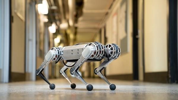 Robot çita yapay zeka ve simülasyonla rekor hıza ulaştı